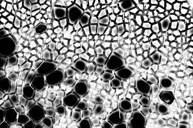 Soyut arkaplan. Monokrom dokusu. Siyah ve beyaz desenli arkaplan. 