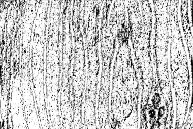 Soyut arkaplan. Monokrom dokusu. Siyah ve beyaz desenli arkaplan. 