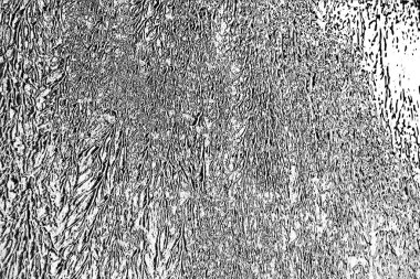 Soyut arkaplan. Monokrom dokusu. Siyah ve beyaz desenli arkaplan. 