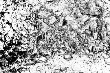 Soyut arkaplan. Monokrom dokusu. Siyah ve beyaz desenli arkaplan. 