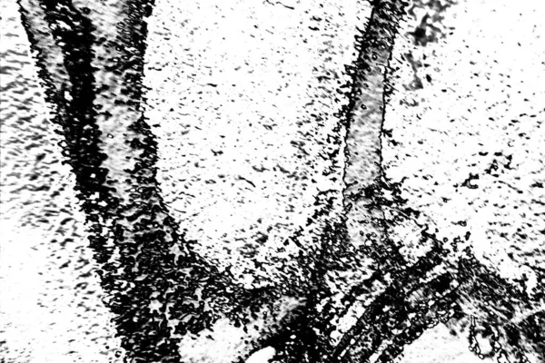 Contexte Abstrait Texture Monochrome Fond Texturé Noir Blanc — Photo