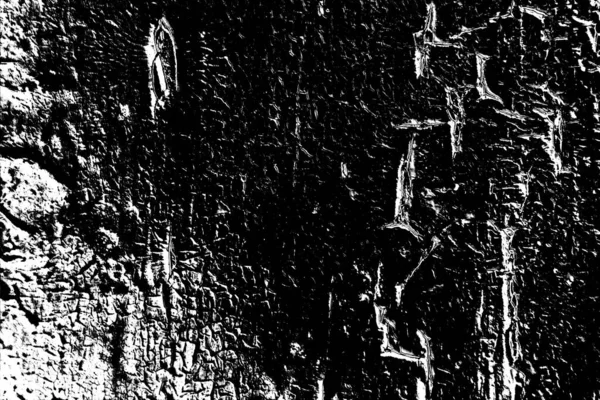 Fondo Abstracto Textura Monocromática Fondo Texturizado Blanco Negro — Foto de Stock