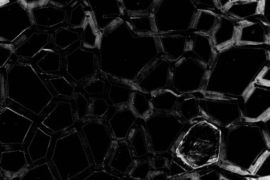 Soyut arkaplan. Monokrom dokusu. Siyah ve beyaz desenli arkaplan. 