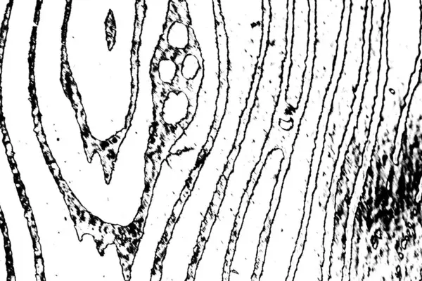 Abstraktní Pozadí Monochromní Textura Černobílé Texturované Pozadí — Stock fotografie