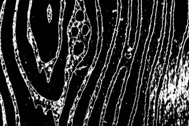 Soyut arkaplan. Monokrom dokusu. Siyah ve beyaz desenli arkaplan. 