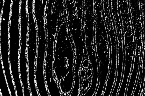 Абстрактний Фон Монохромна Текстура Чорно Білий Текстурований Фон — стокове фото