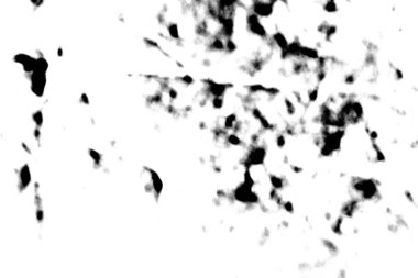 Soyut arkaplan. Monokrom dokusu. Siyah ve beyaz desenli arkaplan. 