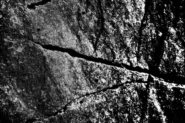 gros plan de mousse sèche sur un mur de fissures en ciment blanc