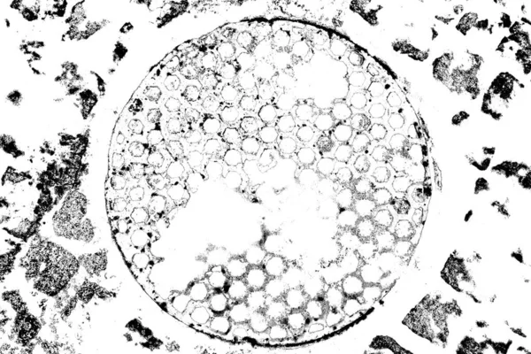 抽象的磨擦纹理 黑白彩色壁纸 — 图库照片