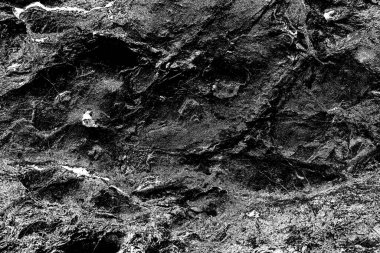 Soyut arkaplan. Monokrom dokusu. Siyah ve beyaz desenli arkaplan. 