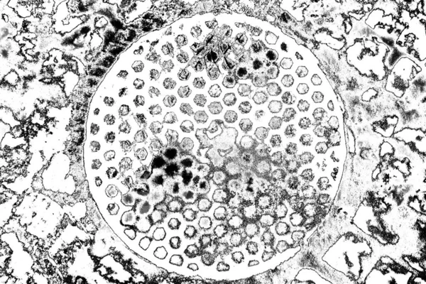 Soyut Arkaplan Monokrom Dokusu Siyah Beyaz Desenli Arkaplan — Stok fotoğraf