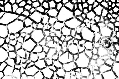 Soyut arkaplan. Monokrom dokusu. Siyah ve beyaz desenli arkaplan. 