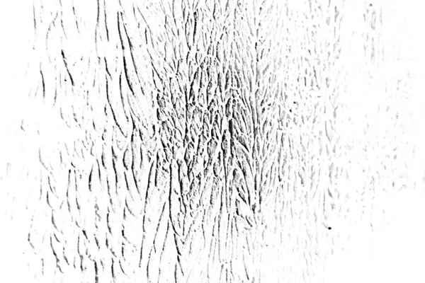 Fondo Abstracto Textura Monocromática Fondo Texturizado Blanco Negro — Foto de Stock