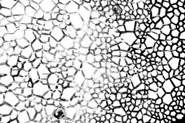 Soyut arkaplan. Monokrom dokusu. Siyah ve beyaz desenli arkaplan. 