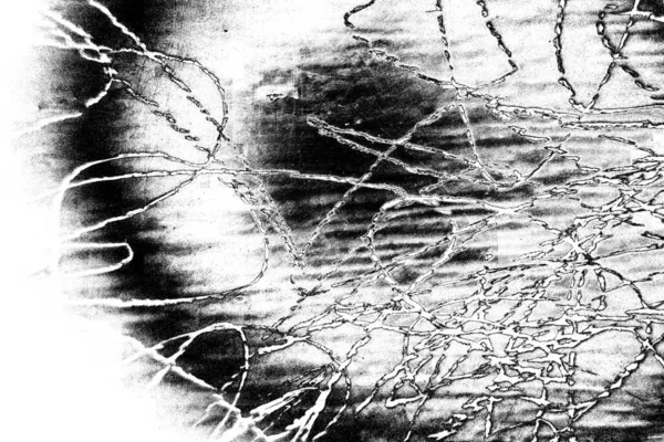 Fondo Abstracto Textura Monocromática Fondo Texturizado Blanco Negro —  Fotos de Stock