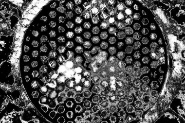 Soyut arkaplan. Monokrom dokusu. Siyah ve beyaz desenli arkaplan. 