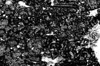 Soyut arkaplan. Monokrom dokusu. Siyah ve beyaz desenli arkaplan. 