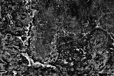 Soyut arkaplan. Monokrom dokusu. Siyah ve beyaz desenli arkaplan. 