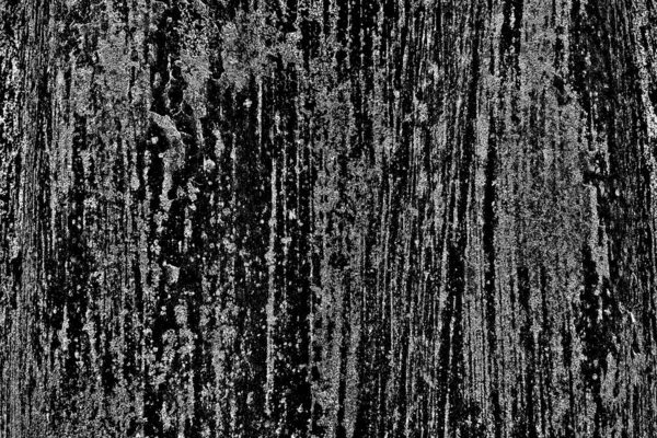 Fundo Abstrato Textura Monocromática Preto Branco Texturizado Fundo — Fotografia de Stock