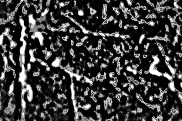Абстрактний Фон Монохромна Текстура Чорно Білий Текстурований Фон — стокове фото