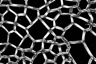 Soyut arkaplan. Monokrom dokusu. Siyah ve beyaz desenli arkaplan. 