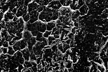 Soyut arkaplan. Monokrom dokusu. Siyah ve beyaz desenli arkaplan. 