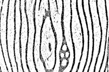 Soyut arkaplan. Monokrom dokusu. Siyah ve beyaz desenli arkaplan. 