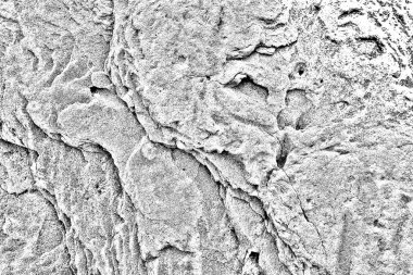 Soyut arkaplan. Monokrom dokusu. Siyah ve beyaz desenli arkaplan. 