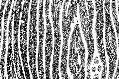 soyut siyah ve beyaz desenli arkaplan