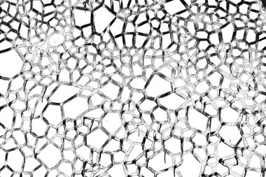 Soyut arkaplan. Monokrom dokusu. Siyah ve beyaz desenli arkaplan. 