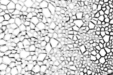 Soyut arkaplan. Monokrom dokusu. Siyah ve beyaz desenli arkaplan. 