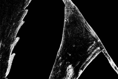 Soyut arkaplan. Monokrom dokusu. Siyah ve beyaz desenli arkaplan. 