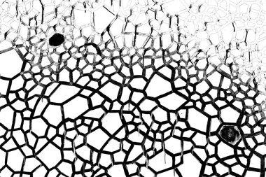 Soyut arkaplan. Monokrom dokusu. Siyah ve beyaz desenli arkaplan. 