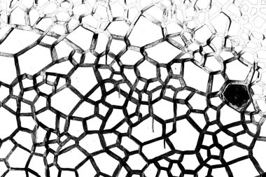 Soyut arkaplan. Monokrom dokusu. Siyah ve beyaz desenli arkaplan. 