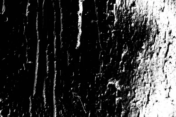 Abstraktní Pozadí Monochromní Textura Černobílé Texturované Pozadí — Stock fotografie