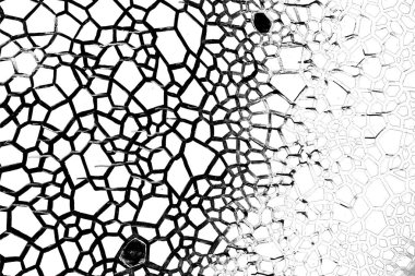 Soyut arkaplan. Monokrom dokusu. Siyah ve beyaz desenli arkaplan. 