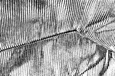 Soyut arkaplan. Monokrom dokusu. Siyah ve beyaz desenli arkaplan.     