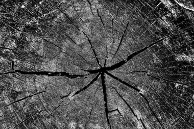 Soyut arkaplan. Monokrom dokusu. Siyah ve beyaz desenli arkaplan. 