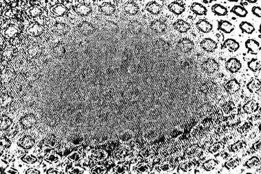 Soyut arkaplan. Monokrom dokusu. Siyah ve beyaz desenli arkaplan.     