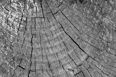 Soyut arkaplan. Monokrom dokusu. Siyah ve beyaz desenli arkaplan. 