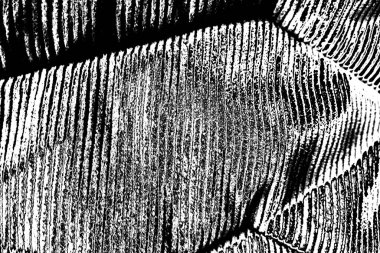 Soyut arkaplan. Monokrom dokusu. Siyah ve beyaz desenli arkaplan.     