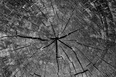 Soyut arkaplan. Monokrom dokusu. Siyah ve beyaz desenli arkaplan. 