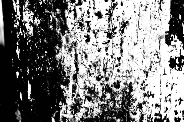 Sfondo Astratto Struttura Monocromatica Bianco Nero Sfondo Strutturato — Foto Stock