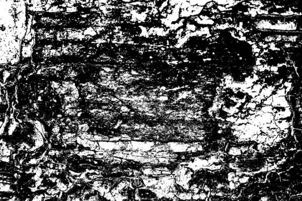 Abstract Background Monochrome Texture Image Including Effect Black White Tones — Stock Photo, Image