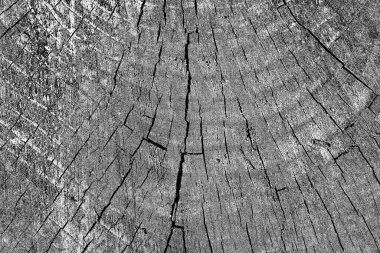 Soyut arkaplan. Monokrom dokusu. Siyah ve beyaz desenli arkaplan. 