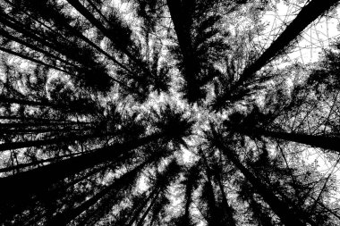 Soyut arkaplan. Monokrom dokusu. Siyah ve beyaz desenli arkaplan. 