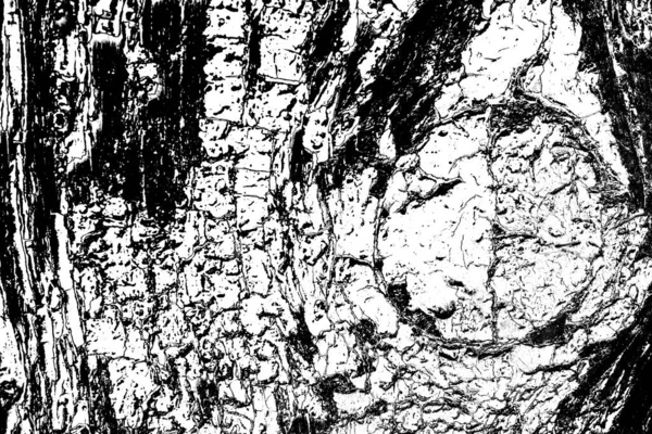 Contexte Abstrait Texture Monochrome Fond Texturé Noir Blanc — Photo