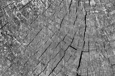 Soyut arkaplan. Monokrom dokusu. Siyah ve beyaz desenli arkaplan. 