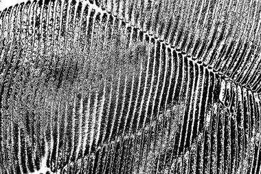 Soyut arkaplan. monokrom dokusu. resim siyah ve beyaz tonları içerir.