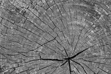 Soyut arkaplan. Monokrom dokusu. Siyah ve beyaz desenli arkaplan. 